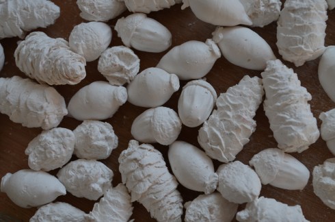 Plaster Casting