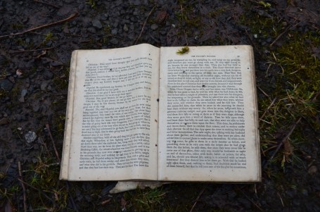 The Pilgrims Progress, pages 90 and 91 Image