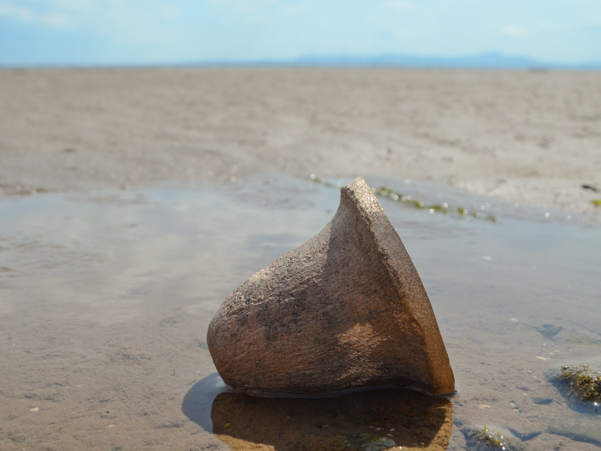 Ring Out Wild Bells – a curious bell&nbsp;history